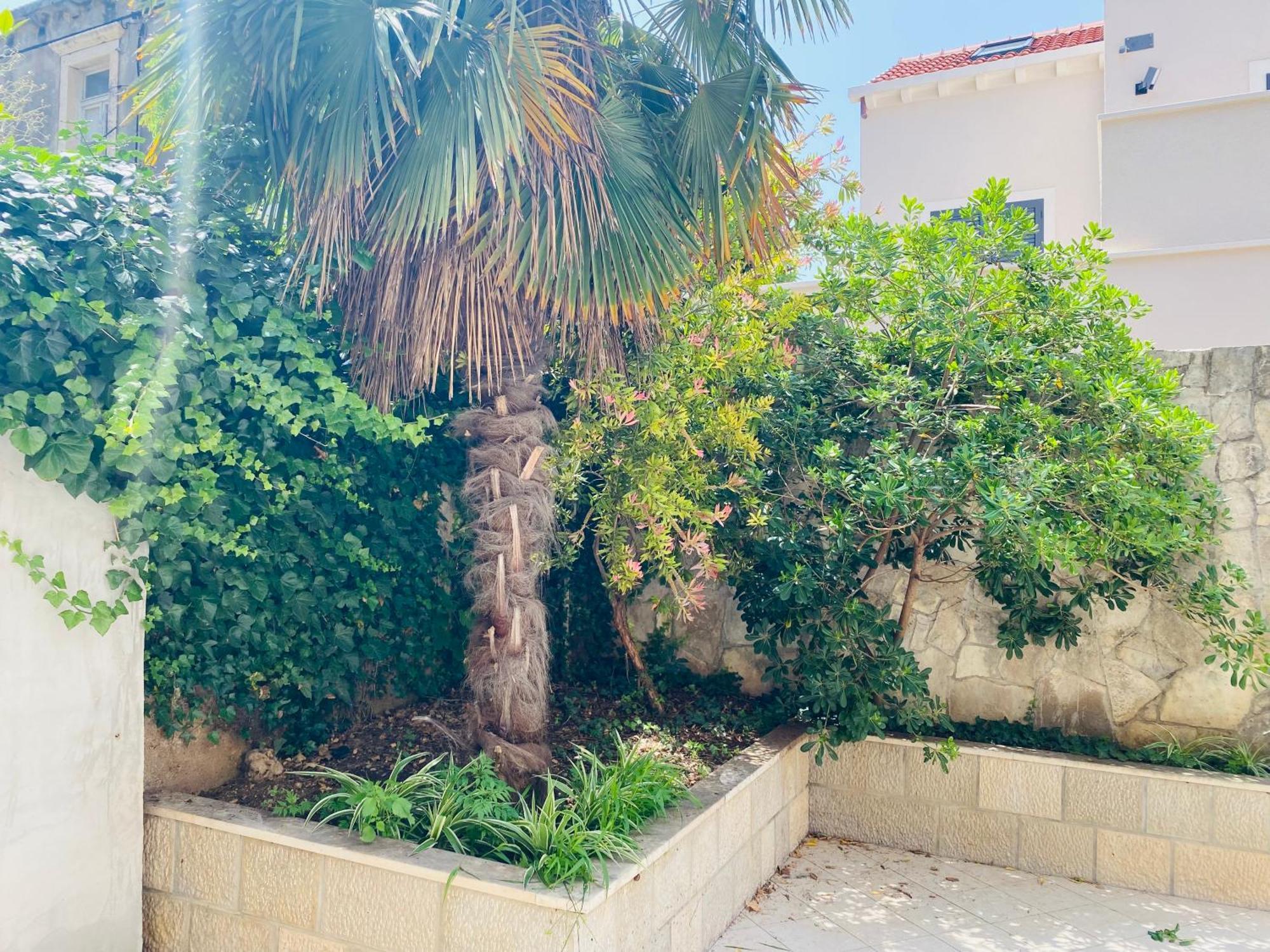 Pafi Apartment Dubrovník Exteriér fotografie